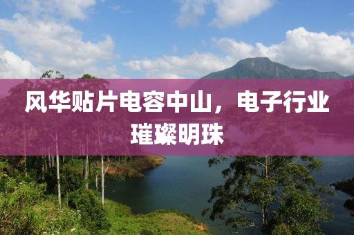 风华贴片电容中山，电子行业璀璨明珠