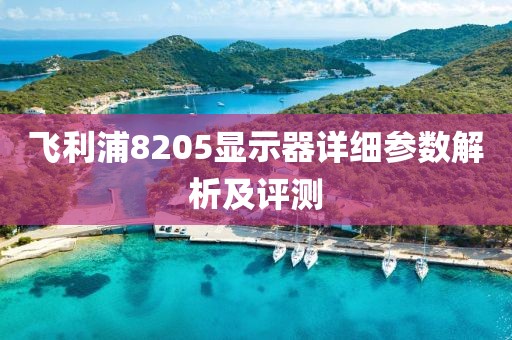 飞利浦8205显示器详细参数解析及评测