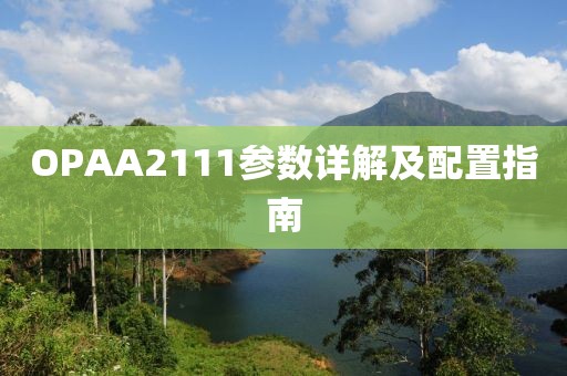 OPAA2111参数详解及配置指南