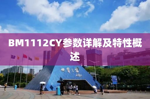 BM1112CY参数详解及特性概述
