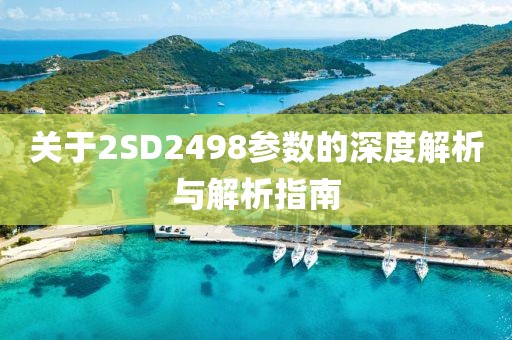 襟上花 第30页