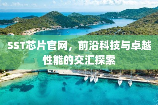 SST芯片官网，前沿科技与卓越性能的交汇探索