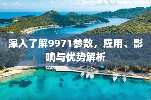 深入了解9971参数，应用、影响与优势解析