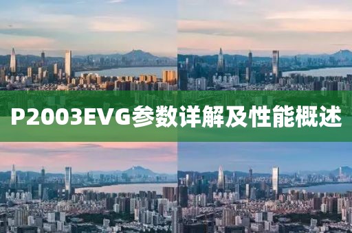 P2003EVG参数详解及性能概述