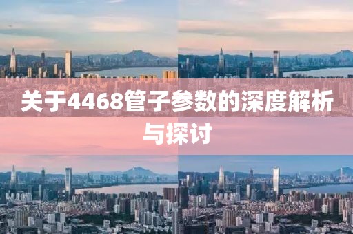 关于4468管子参数的深度解析与探讨
