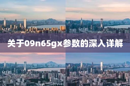 关于09n65gx参数的深入详解
