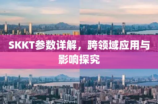 SKKT参数详解，跨领域应用与影响探究