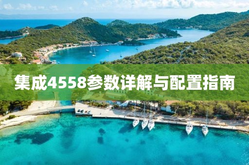 集成4558参数详解与配置指南