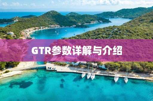 GTR参数详解与介绍