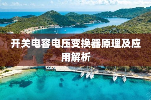 开关电容电压变换器原理及应用解析