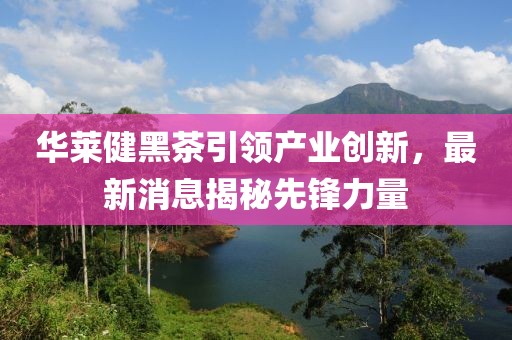 华莱健黑茶引领产业创新，最新消息揭秘先锋力量