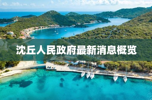 沈丘人民政府最新消息概览