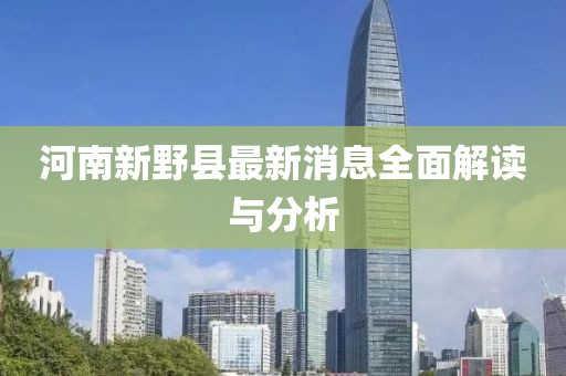 河南新野县最新消息全面解读与分析