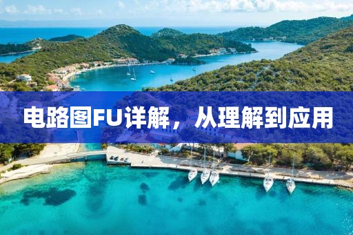 电路图FU详解，从理解到应用