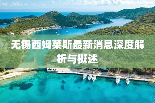 无锡西姆莱斯最新消息深度解析与概述