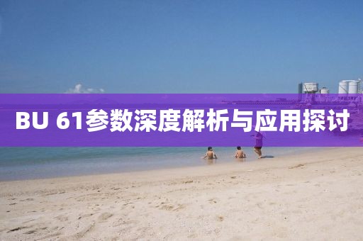 BU 61参数深度解析与应用探讨