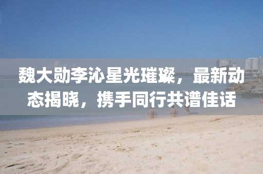 魏大勋李沁星光璀璨，最新动态揭晓，携手同行共谱佳话