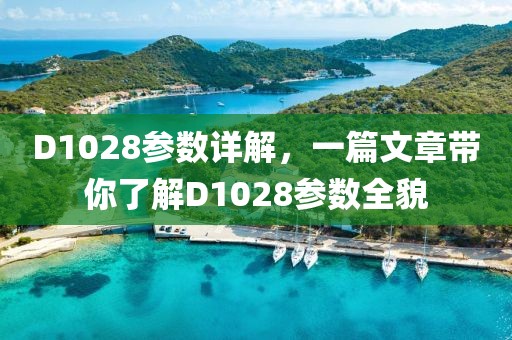 D1028参数详解，一篇文章带你了解D1028参数全貌