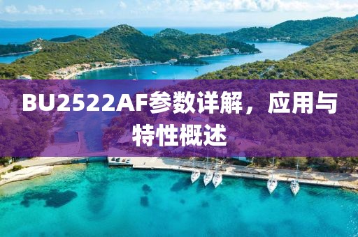 BU2522AF参数详解，应用与特性概述