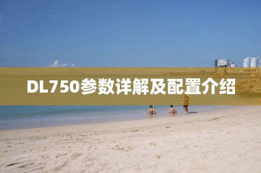 DL750参数详解及配置介绍