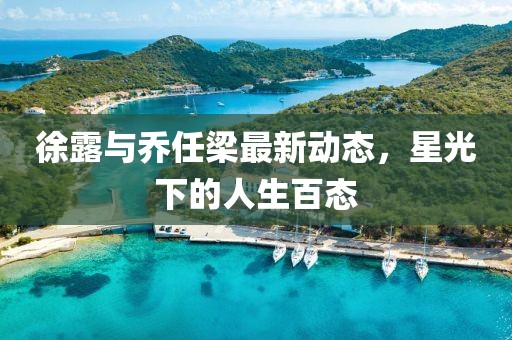 徐露与乔任梁最新动态，星光下的人生百态