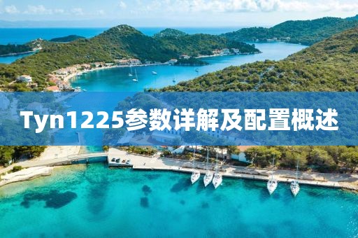 Tyn1225参数详解及配置概述