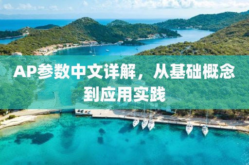 AP参数中文详解，从基础概念到应用实践