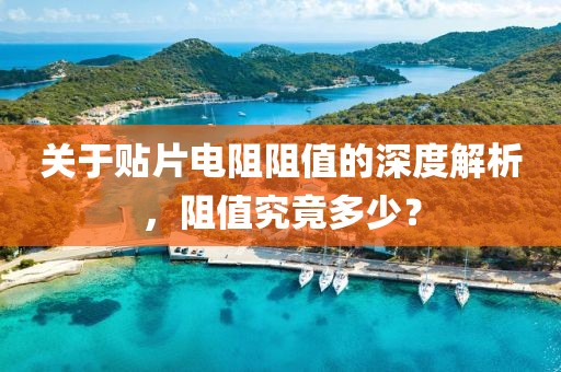 2025年1月 第234页
