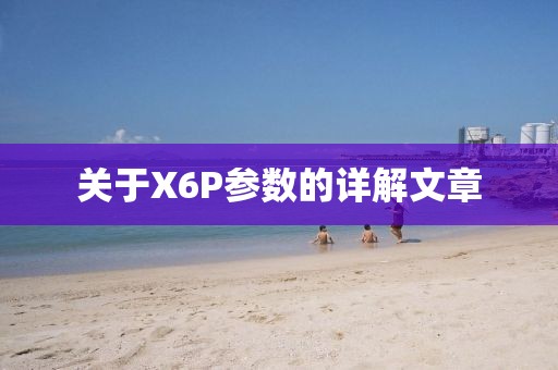 关于X6P参数的详解文章