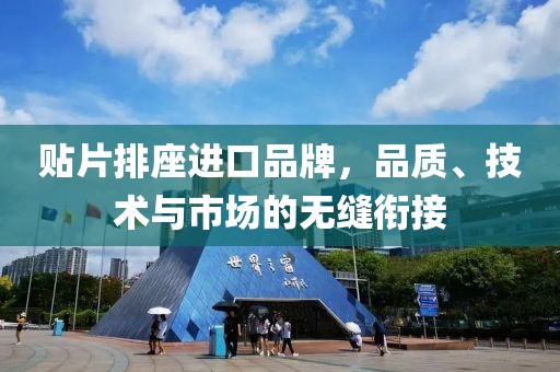 贴片排座进口品牌，品质、技术与市场的无缝衔接