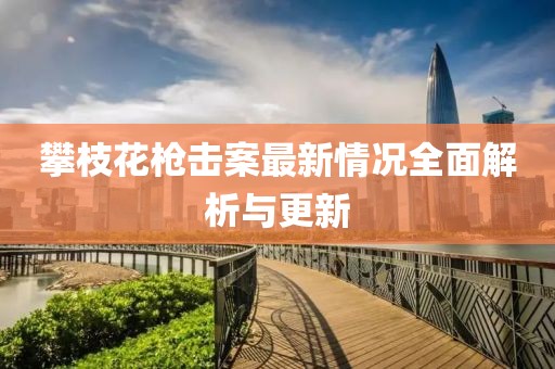 攀枝花枪击案最新情况全面解析与更新