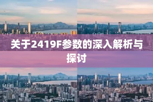 关于2419F参数的深入解析与探讨