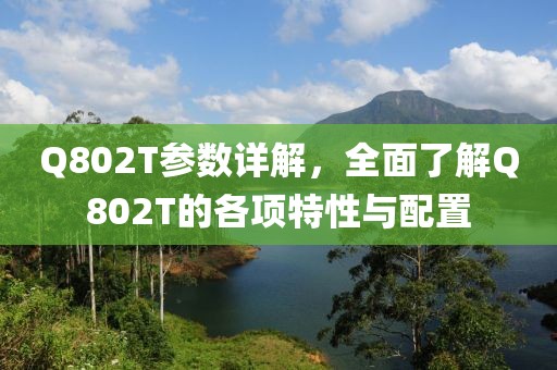 Q802T参数详解，全面了解Q802T的各项特性与配置