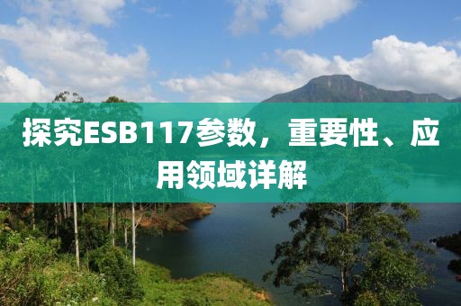 探究ESB117参数，重要性、应用领域详解