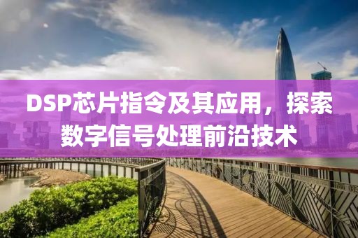 DSP芯片指令及其应用，探索数字信号处理前沿技术