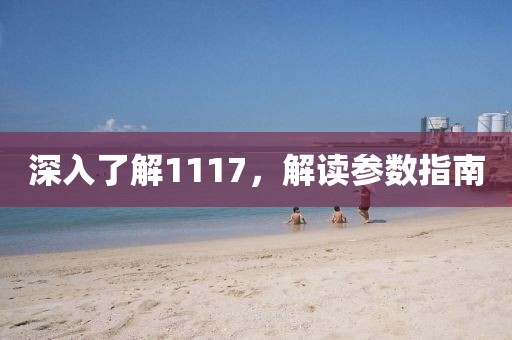 深入了解1117，解读参数指南