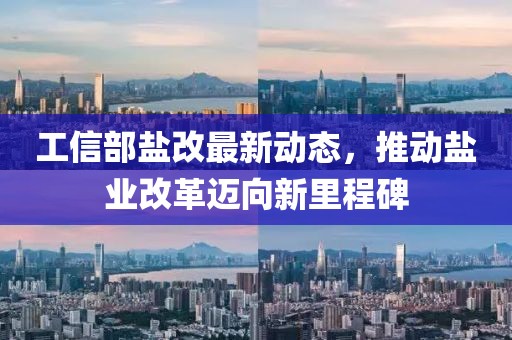 工信部盐改最新动态，推动盐业改革迈向新里程碑