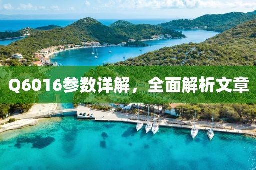 Q6016参数详解，全面解析文章