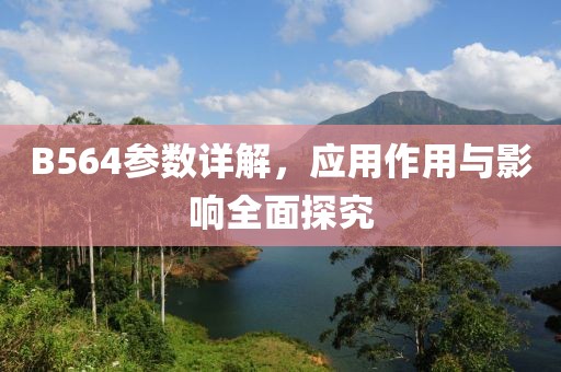 B564参数详解，应用作用与影响全面探究