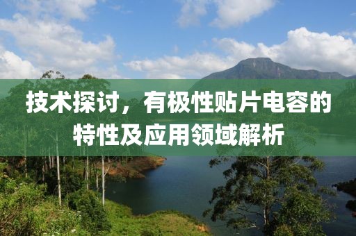 技术探讨，有极性贴片电容的特性及应用领域解析