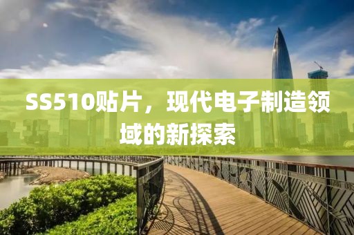 SS510贴片，现代电子制造领域的新探索