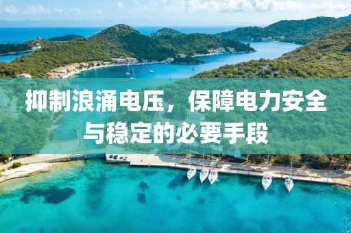 抑制浪涌电压，保障电力安全与稳定的必要手段