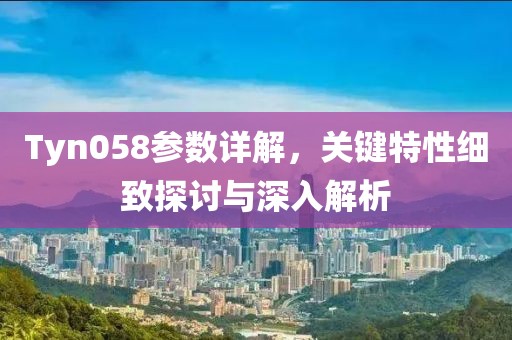 Tyn058参数详解，关键特性细致探讨与深入解析