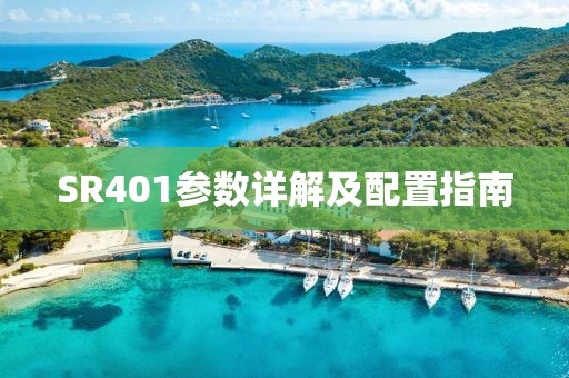 SR401参数详解及配置指南