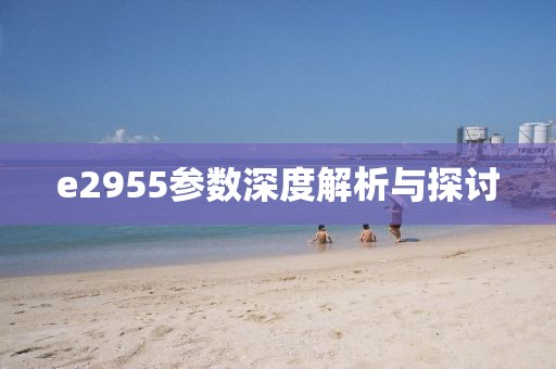 e2955参数深度解析与探讨