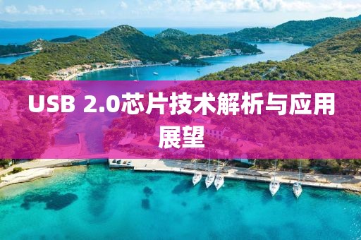 USB 2.0芯片技术解析与应用展望