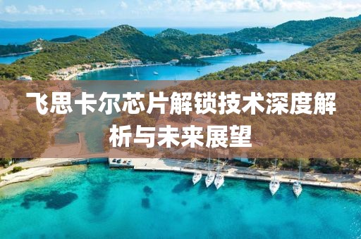 飞思卡尔芯片解锁技术深度解析与未来展望