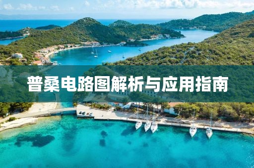 普桑电路图解析与应用指南