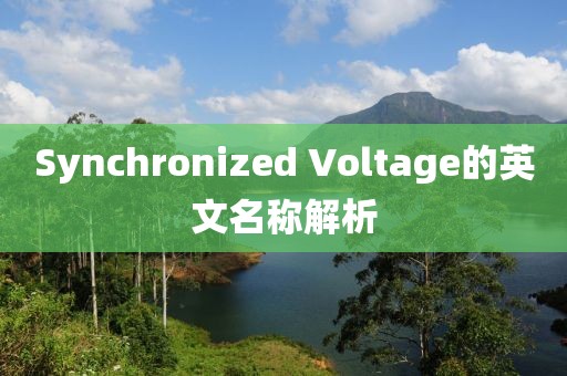 Synchronized Voltage的英文名称解析