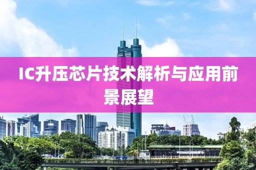襟上花 第24页